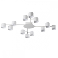 Потолочная люстра Lumion Gareta 8235/12C
