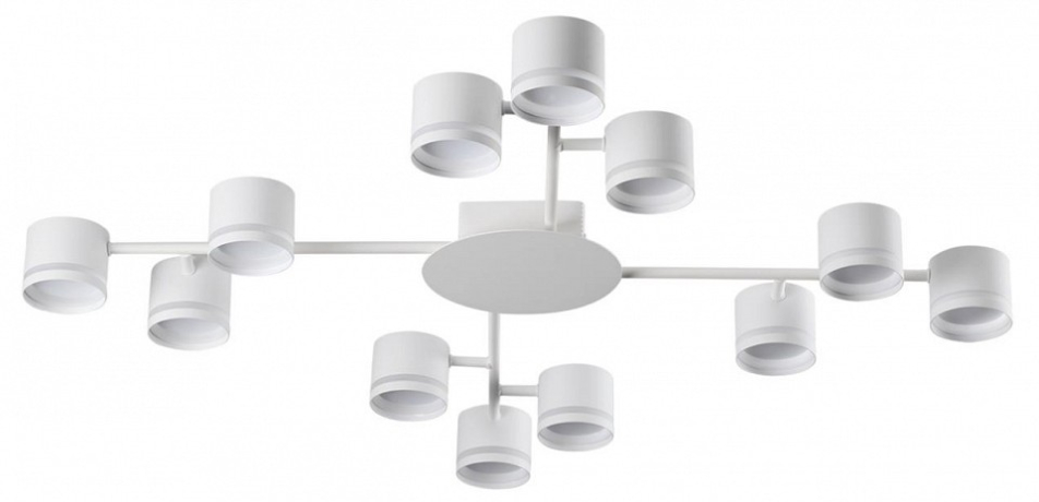 Потолочная люстра Lumion Gareta 8235/12C 