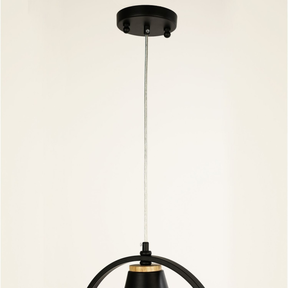Светильник подвесной с лампочками, комплект от Lustrof. № 315194-617626, цвет матовый черный - фото 4