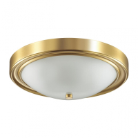 Нарушена упаковка!  <369350> Настенно-потолочный светильник Lumion Nina 5259/3C