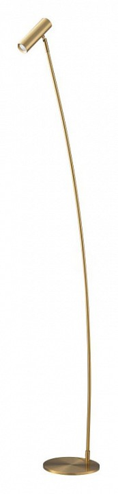 Торшер Belfast BELVOIR 85061-1F BR