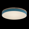 Накладной светильник Loft it Axel 10001/36 Blue 