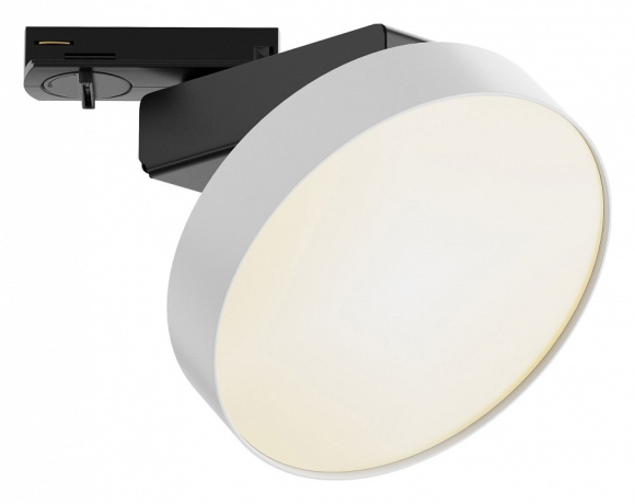 Светильник на штанге Maytoni Technical Zon TR043-1-12W3K-W 