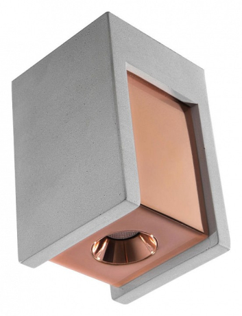 Накладной светильник Loft it Architect OL1073-GG 