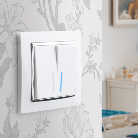 Выключатель двухклавишный с подсветкой (белый) Werkel 90580