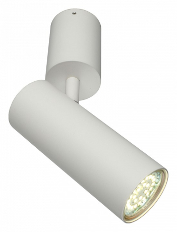 Спот Aployt Berenis APL.007.02.01 