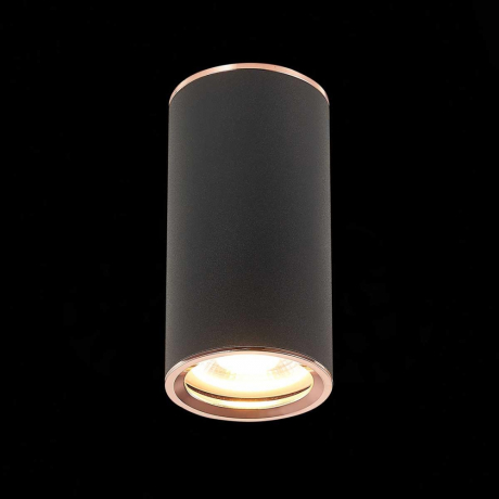 Светильник точечный с Led лампочками в комплекте ST Luce ST111.427.01+Lamps 