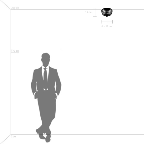 Накладной светильник Lightstar Celesta 809003 