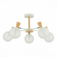 Люстра на штанге Evoluce Catania SLE220702-05