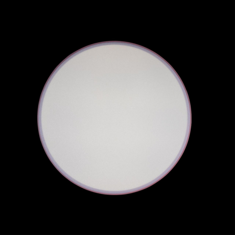 Накладной светильник Loft it Axel 1 10002/24 Pink 