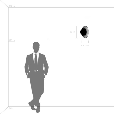 Накладной светильник Lightstar Celesta 809012 