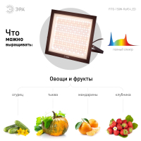 Фитопрожектор для растений светодиодный ЭРА FITO-150W-Ra90-LED полного спектра профессиональный 150 Вт Б0059880