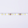 5м. Светодиодная лента теплого света 3000К, 5050, 14,4W, 12V, 60LED/m, IP65 Ambrella light ILLUMINATION LED Strip GS2101