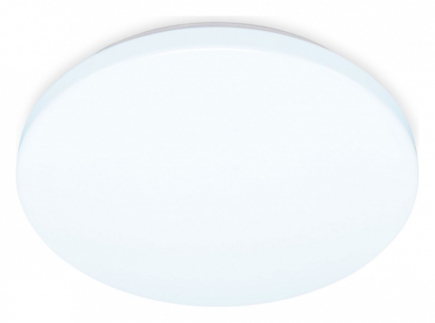 Накладной светильник Ambrella Light FZ FZ1008 