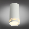 Светильник точечный с лампочкой Omnilux OML-100809-01+Lamps 