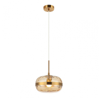 Светильник подвесной с лампочкой APLOYT APL.305.16.01+Lamps