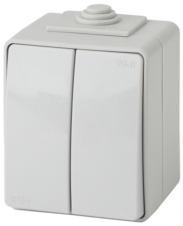 Выключатель двухклавишный ЭРА  10AX 250V IP65 11-1604-03 169497