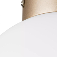 Плафон потолочный Lightstar Globo 812023