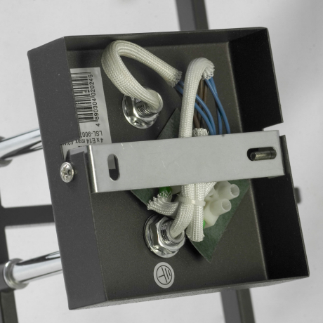 Потолочная люстра Lussole Costanzo LSL-9007-04 