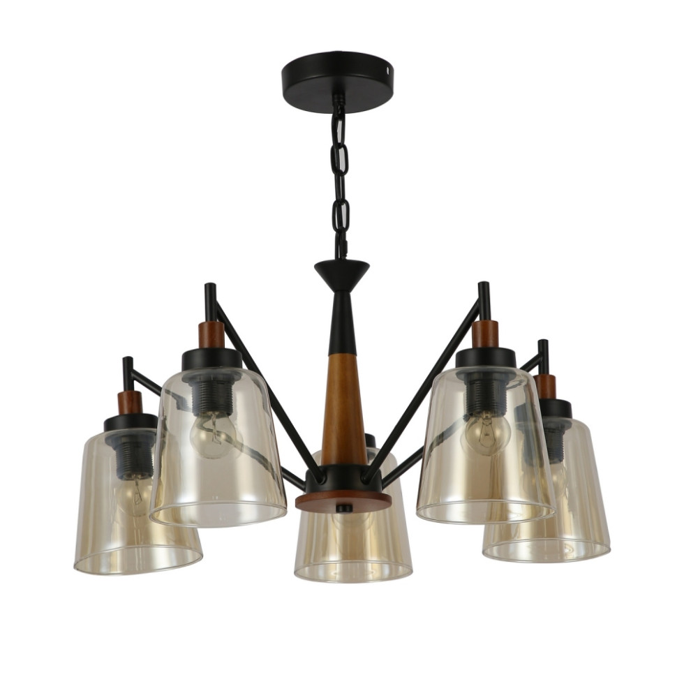 Подвесная люстра с лампочками F-Promo Tinnitus 2632-5P+Lamps E27 P45, цвет черный 2632-5P+Lamps E27 P45 - фото 3