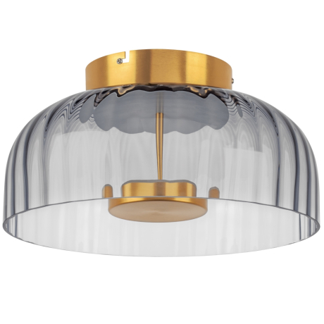 Накладной светильник Lightstar Celesta 809061 