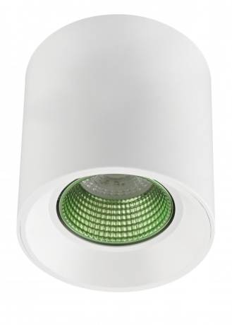 Накладной светильник Denkirs DK3090-WH+GR 