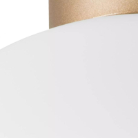 Плафон потолочный Lightstar Globo 812033