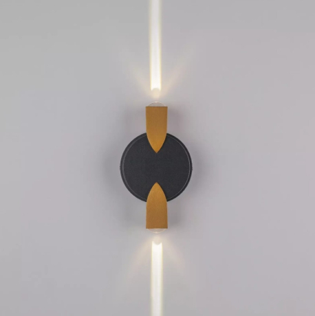 Накладной светильник Lightstar Dito 380623