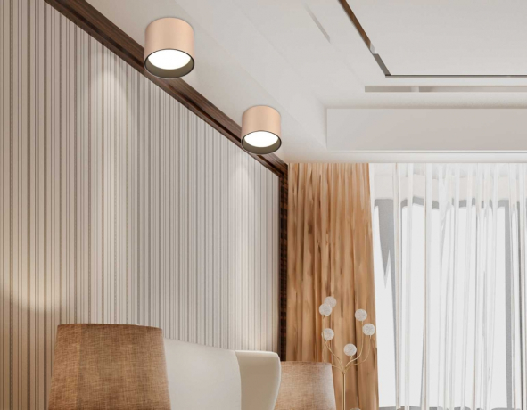 Накладной светильник Ambrella Light TN TN5305 