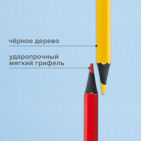 Нарушена упаковка! <402387> Карандаши цветные BRAUBERG, 12 цветов, черное дерево, грифель мягкий 3,3 мм, 181856 (181856)