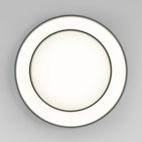 Потолочный диммируемый светильник Eurosvet Force 90331/2 (a065958) 