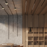 Трековый светильник Technical TR193-1-5W2.7K-M-B Points