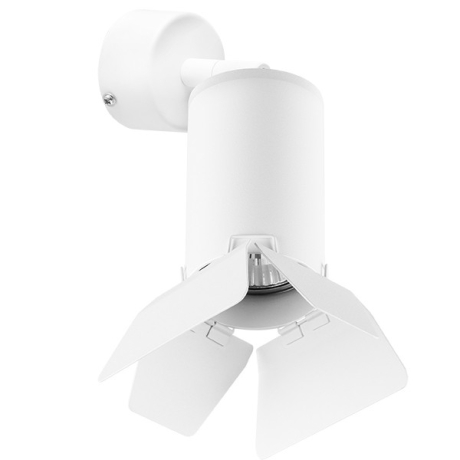 Накладной светильник Lightstar Rullo RB436436 