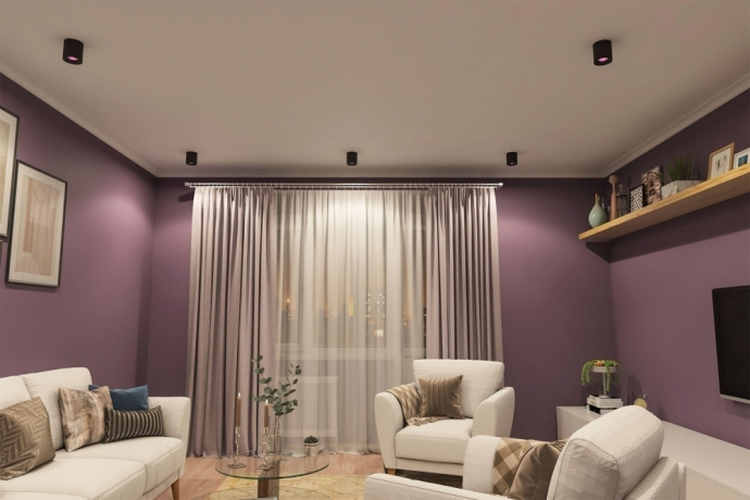 Накладной светильник Denkirs DK3090-BK+PI 