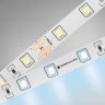 Лента светодиодная Ambrella Light GS GS3003