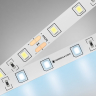 Лента светодиодная Ambrella Light GS GS3003