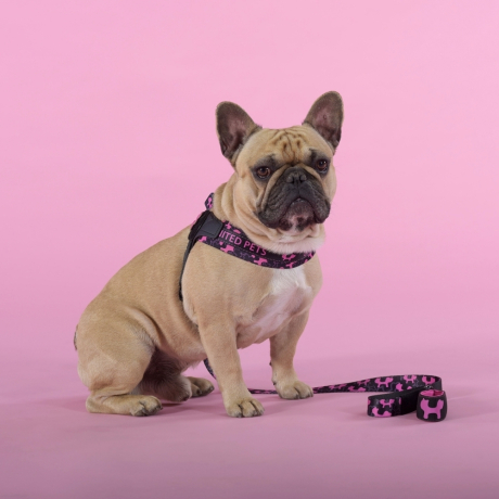 Нарушена упаковка!  <445594> Шлейка United Pets для собак Complete me Identity 1,5 x 34-42 см, черная с розовым GPCMH2210FID