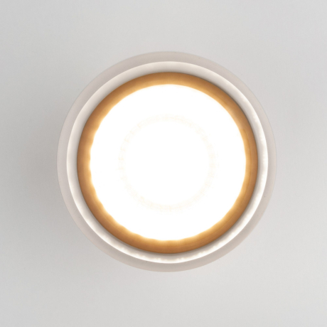 Уличный светодиодный светильник Elektrostandard  2107 IP54 35140/H черный (a057159)