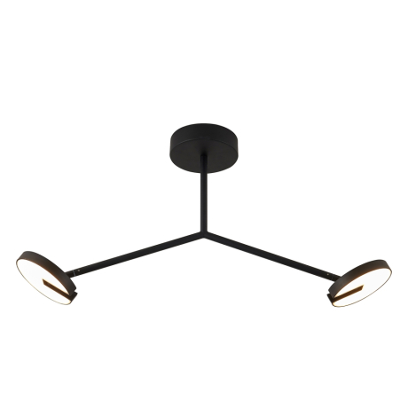 Потолочный светильник Favourite Paritet 4401-2C 