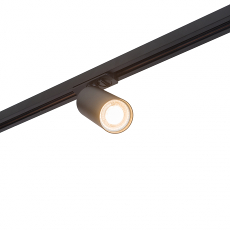 Светильник на штанге Denkirs DK620 DK6202-BK