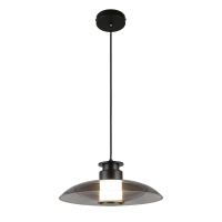 Подвесной светильник Aployt Stefa APL.648.06.10