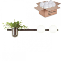 Бра с лампочками Odeon Light Flower 4681/2W+Lamps E14 P45