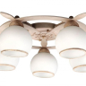 OML-50517-05 Потолочная люстра Omnilux Fronteira 