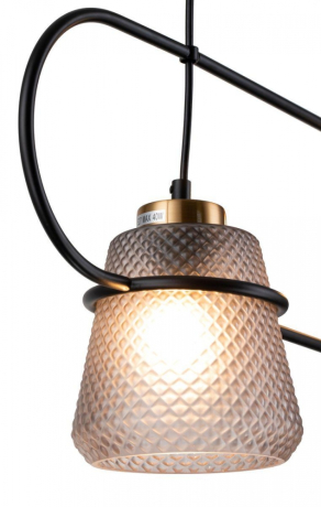 Подвесной светильник Indigo Astratto 11016/2P Black 