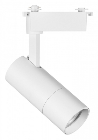 Светильник на штанге Lightstar Volta 229236 