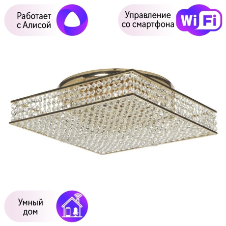 Потолочная люстра Dio DArte Elite с поддержкой Алиса Como E 1.2.40.100 G-A 