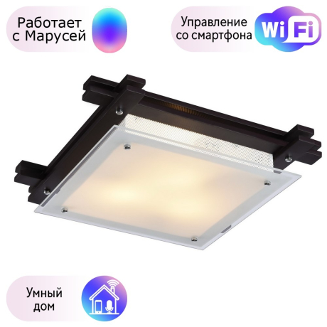Настенно-потолочный светильник Arte Lamp Archimede с поддержкой Маруся A6462PL-3CK-М 