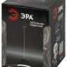 Подвесной светильник Эра PL21 BK GX53 черный (Б0058503) 