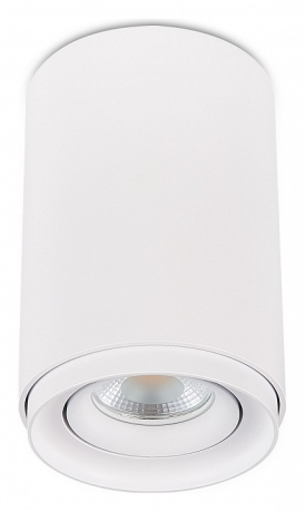Накладной светильник SIMPLE STORY 2065 2065-1CLW 