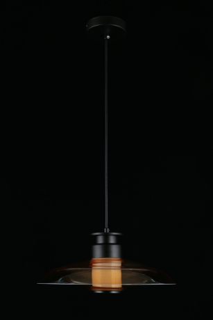 Подвесной светильник Aployt Stefa APL.648.16.10 